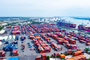 Gần 500 container chè Việt Nam ách tắc tại Pakistan