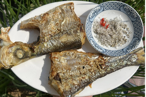 Có tiền chưa chắc mua được: Một trong 'tứ quý ngư' kín tiếng của biển Việt, đắt đỏ nhưng hiếm người được thưởng thức