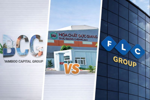 Chuyên gia chứng khoán nói gì về 'sự im lặng' của Hóa chất Đức Giang (DGC)?