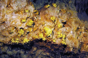 Phong tỏa khẩn cấp khu mỏ khoáng sản, tìm thấy ‘kho vàng’ trữ lượng 38 tấn ở độ sâu chưa tới 500m