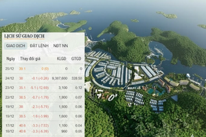 Tự doanh 'đi lệnh' 330 tỷ đồng ở doanh nghiệp thua lỗ triền miên nhưng đang nắm dự án 11.000 tỷ