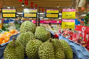 Mỗi quả sầu riêng sẽ được gắn một ‘chứng minh thư’