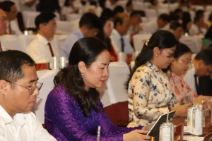 Giá đất mới tại TPHCM cao nhất là 687 triệu đồng/m2