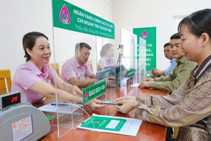 Hộ kinh doanh được vay tới 10 tỷ đồng tạo việc làm