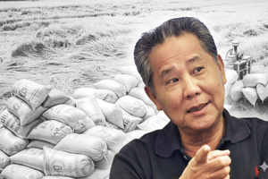 Lộc Trời (LTG) xuất hiện những 'luống cày' mới