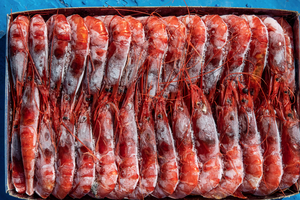 Mỹ tức tốc thu hồi tôm đông lạnh, trả lại 6.000 tấn 'hải sản bẩn' cho nền kinh tế lớn nhất Đông Nam Á