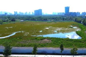 Bảng giá đất mới có giúp TPHCM dễ đền bù, giải phóng mặt bằng?