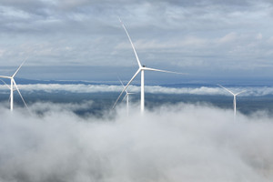 Bầu Hiển vận hành nhà máy điện gió 768 triệu USD