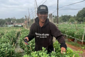 Nông dân Đắk Lắk vực dậy sau lũ, rốt ráo chuẩn bị vụ hoa Tết