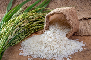 Không phải ST25 của 'cha đẻ' Hồ Quang Cua, đây mới là giống lúa ngon nhất thế giới 7 lần liên tiếp, xuất xứ đến từ nước láng giềng thân thiết của Việt Nam