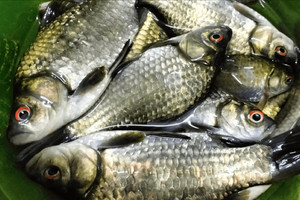 Thầy thuốc xưa gọi là 'đại bổ': Loại cá nhỏ ở chợ Việt, giá chỉ 30.000 đồng/kg nhưng cực tốt cho sức khỏe