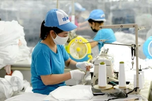 Thu nhập bình quân của người lao động năm 2025 đạt 8,31 triệu đồng/tháng