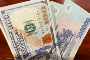 Tỷ giá USD hôm nay 30/12: Ngân hàng giảm nhẹ, thị trường tự do hạ nhiệt