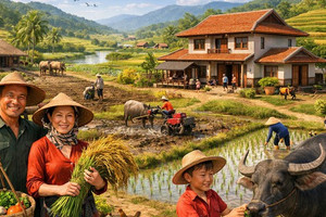 Kể từ nay, đáp ứng điều kiện này đất 50 năm sẽ được cấp sổ đỏ