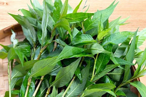 Loại rau ăn kèm quen thuộc của người Việt là bài thuốc quý chữa bách bệnh