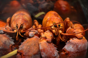 Xe tải chở tôm hùm trị giá 10 tỷ đồng bị trộm