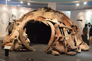 Phát hiện 4 ngôi nhà 18.000 năm tuổi làm bằng xương voi ma mút