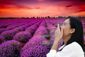 Top 10 cổ phiếu tăng giá mạnh nhất năm 2025