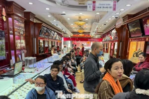 Giá vàng sẽ tiếp tục gây bất ngờ?