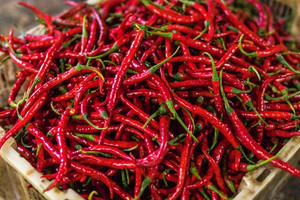 Xuất khẩu rau củ đạt gần 381 triệu USD, ớt tiếp tục giữ vai trò 'đầu tàu' thu về hơn 100 triệu USD sau 11 tháng