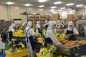 Tung đãi ngộ như 'vua chúa', doanh nghiệp cả nước vẫn không tuyển đủ nhóm lao động này