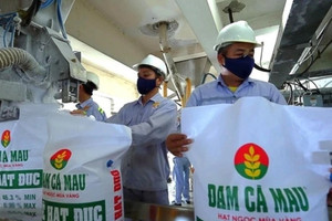 Thoát khỏi ‘cái bóng’ chu kỳ giá, Đạm Cà Mau (DCM) trở thành điểm sáng ngành phân bón 2026