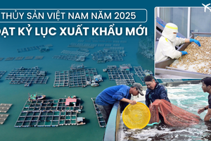 Con tôm, con cá mang về hơn 11 tỷ USD cho Việt Nam: CPTPP và Trung Quốc trở thành trụ cột xuất khẩu