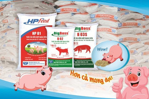 Công ty thức ăn chăn nuôi của Hòa Phát (HPG) vào diện thanh tra