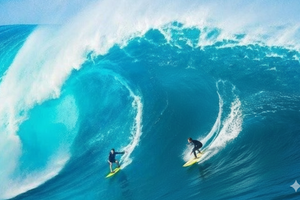 FPT giữ vai trò đầu tàu năm 2024, VIC tạo sóng 2025: Đâu là cổ phiếu dẫn dắt thị trường 2026?