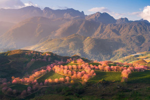 Cùng với Nhật Bản, Indonesia, Việt Nam có 'Điểm đến tăng trưởng nhanh nhất châu Á năm 2025'