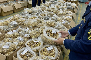 Phát hiện hơn 194.000 sản phẩm vàng, trang sức nhập lậu