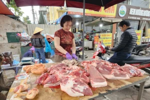 Hơn 1,2 triệu con lợn bị tiêu hủy: Giá lợn hơi tăng mạnh nhưng dự báo sớm hạ nhiệt