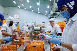 Tết Bính Ngọ lương thực đủ đầy