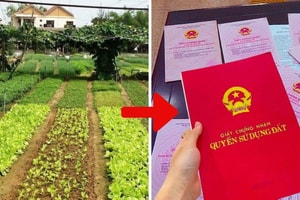 Đừng đợi đến lúc quá hạn: Tại sao đây là 'thời điểm vàng' để chuyển đổi đất vườn sang đất ở?