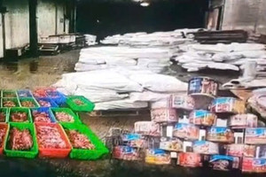 Công bố danh tính 9 bị can trong vụ 120 tấn thịt lợn bệnh tuồn vào Công ty CP Đồ hộp Hạ Long