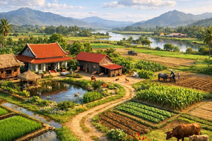 Kể từ nay, duy nhất 3 trường hợp này sẽ không được áp dụng bảng giá đất mới