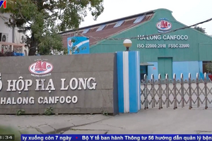 Quảng Ninh chính thức lên tiếng sau ồn ào ‘Đồ hộp Hạ Long’