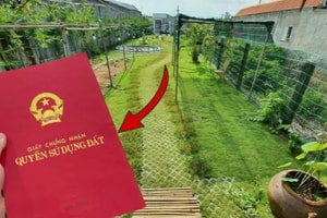 Tách thửa cho con thế nào để không mất ưu đãi giảm 70% tiền chuyển đất nông nghiệp?