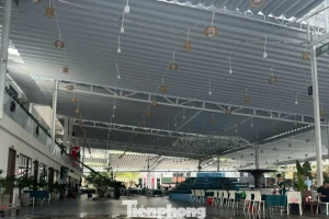 Đề xuất biến 9 khu 'đất vàng' ở TPHCM thành vườn hoa trong dịp Tết Bính Ngọ