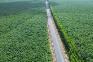 Con đường xuyên rừng cao su tại thành phố giàu nhất Việt Nam: Gặp khó khăn, phải lùi kế hoạch thông xe nửa năm