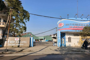 Đồ hộp Hạ Long: Toàn bộ cổ đông ngoại kịp 'tháo chạy' trước khi vụ việc thịt lợn nhiễm bệnh bị phát hiện