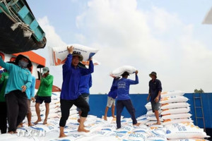 Vì sao Israel là phép thử đẳng cấp mà gạo Việt nhất định phải vượt qua?