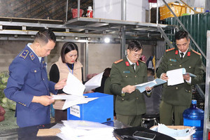 Phát hiện lượng lớn thịt lợn, nội tạng nhiễm dịch tả lợn châu Phi