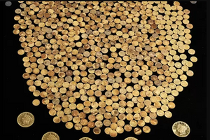 Một nông dân đào trúng kho vàng cổ trị giá 52,5 tỷ đồng trong vườn ngô