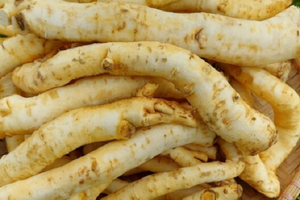 Loại cây trồng đầy vườn bỗng thành món mứt lạ ngày Tết, giá hơn nửa triệu đồng/kg vẫn hút khách