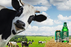 Sóng thoái vốn Nhà nước: Đọc vị 'vòng đời' để xác định điểm vào - ra