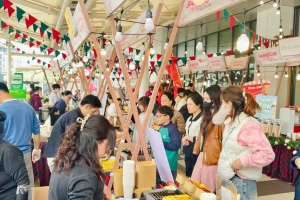 Lần đầu khuyến mại tập trung quốc gia, người dân mạnh tay sắm Tết