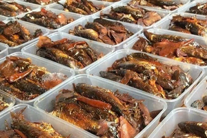 Không phải cá hồi, đây mới là loại cá 'đứng số 1 thế giới' về dinh dưỡng: Chợ Việt bán đầy, giá chỉ vài chục nghìn đồng