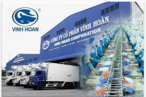 VHC giảm mạnh, Vĩnh Hoàn tính phương án mua lại cổ phiếu, giảm vốn điều lệ