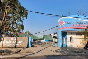 Nóng: Cán bộ Chi cục Thú y Hải Phòng ra đầu thú vì cấp giấy kiểm dịch khống cho Công ty Đồ hộp Hạ Long